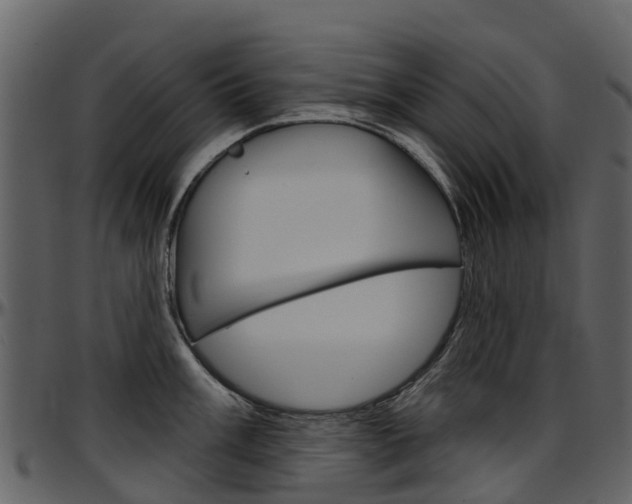 X0000097651003200802290842