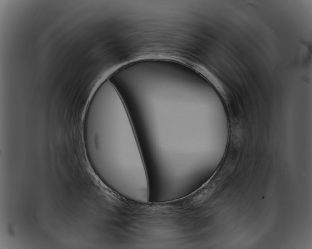 X0000097651004200802290842