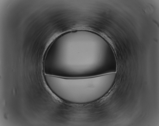 X0000097651005200802290842