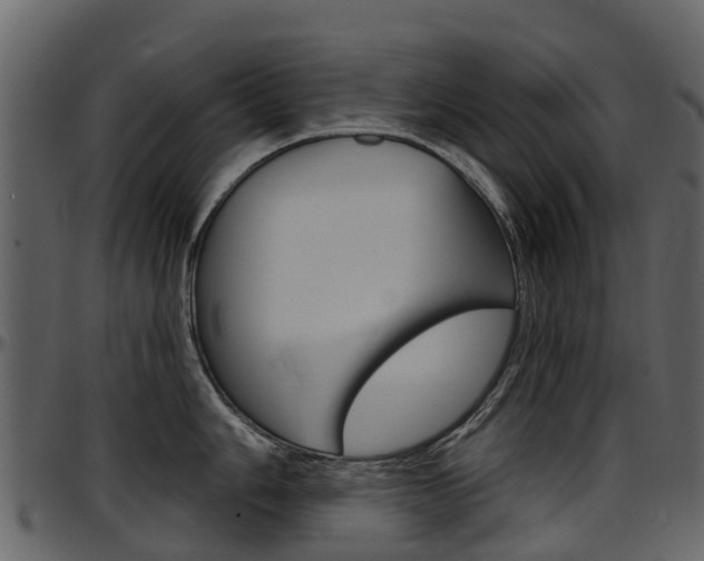 X0000097651006200802290842