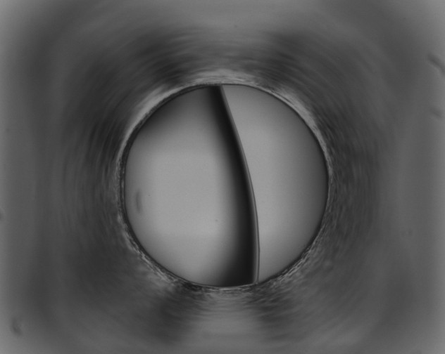 X0000097651008200802290842