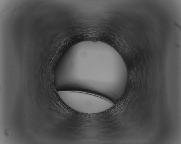 X0000097651009200802290841