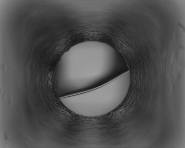 X0000097651010200802290841