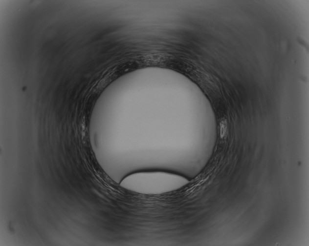X0000097651011200802290841