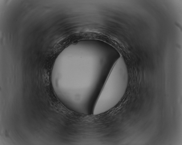 X0000097651013200802290841