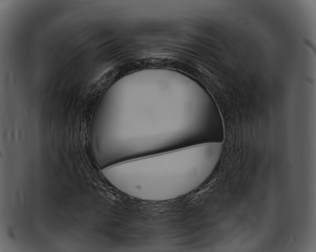 X0000097651014200802290841