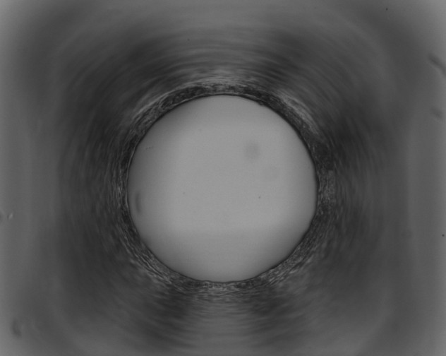 X0000097651015200802290841