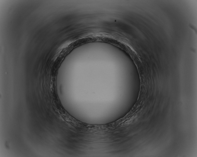X0000097651016200802290841