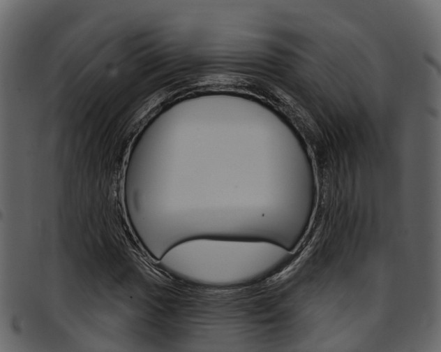 X0000097651017200802290841
