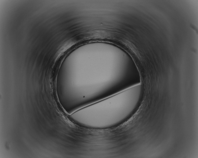 X0000097651018200802290841
