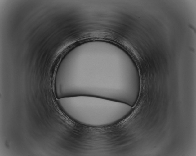 X0000097651019200802290841