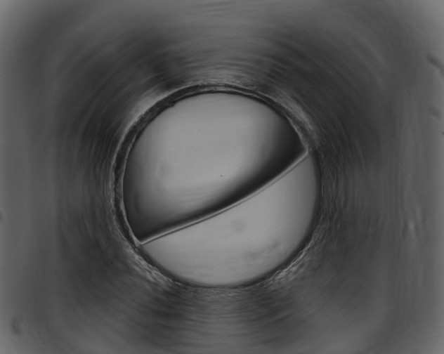 X0000097651020200802290841
