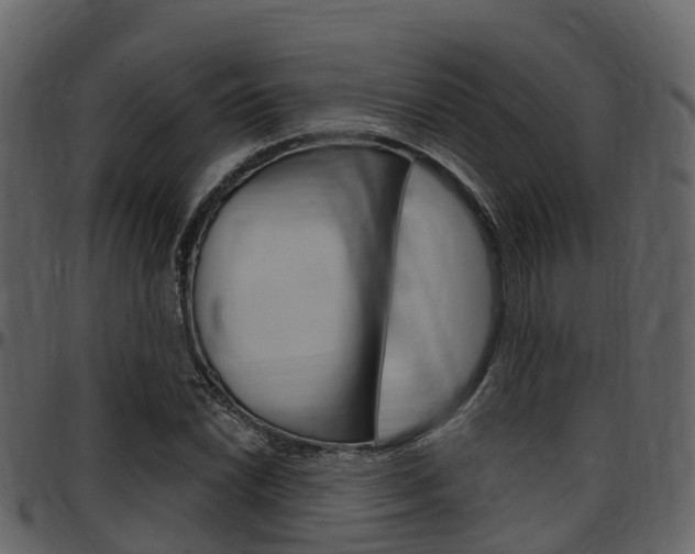 X0000097651022200802290841