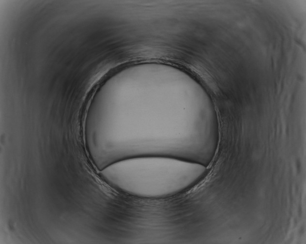 X0000097651023200802290841
