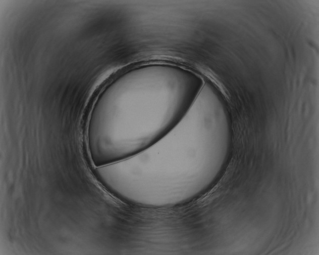 X0000097651024200802290841