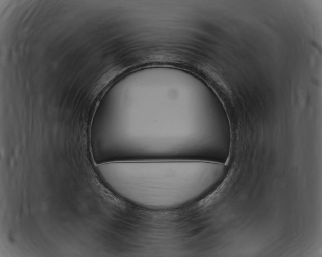 X0000097651025200802290841