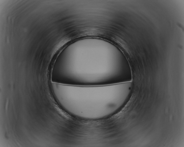 X0000097651026200802290841