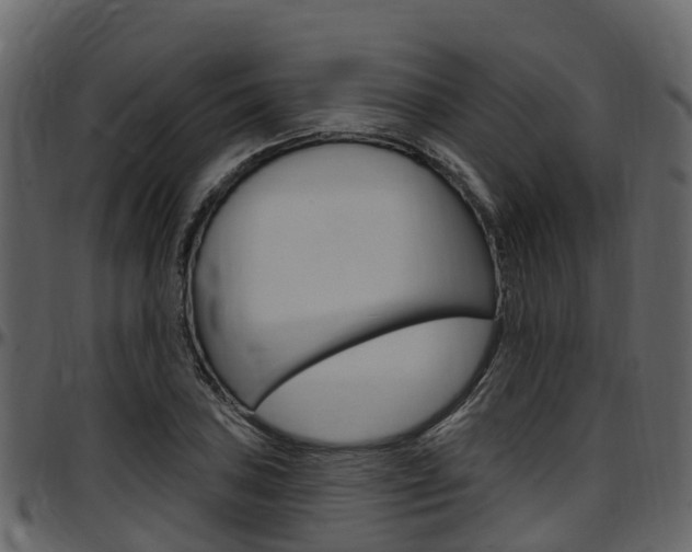 X0000097651027200802290841
