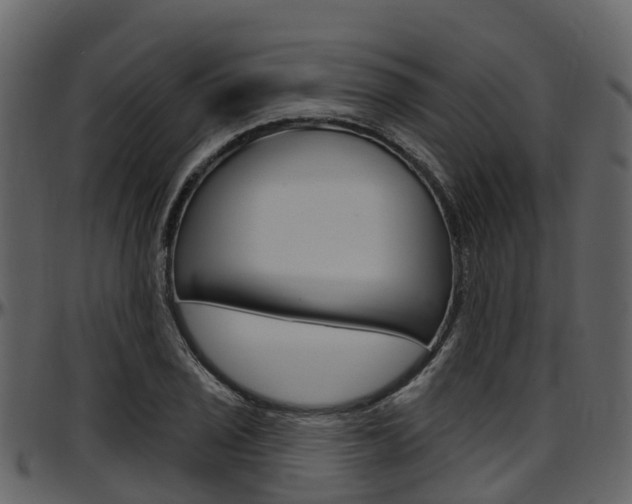 X0000097651029200802290841