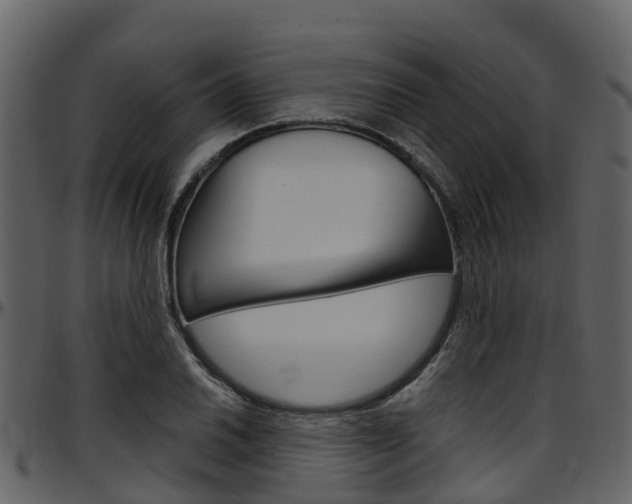 X0000097651030200802290841