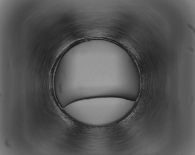 X0000097651031200802290841