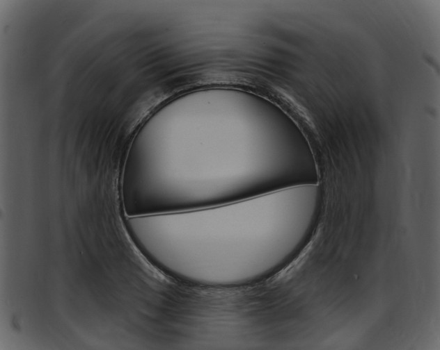 X0000097651033200802290841