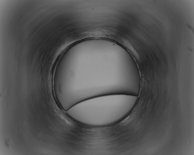 X0000097651035200802290841