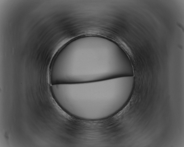 X0000097651036200802290841