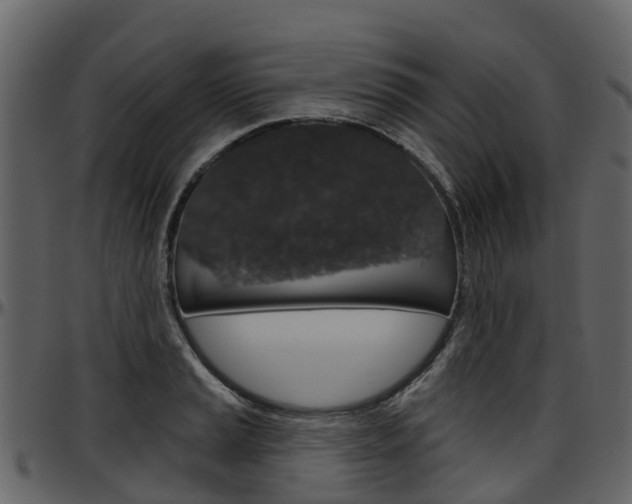 X0000097651037200802290841