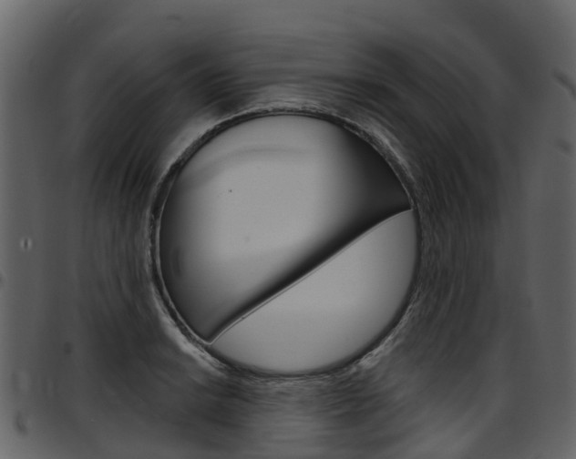 X0000097651038200802290841
