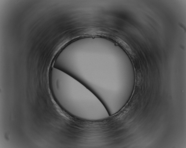 X0000097651039200802290841