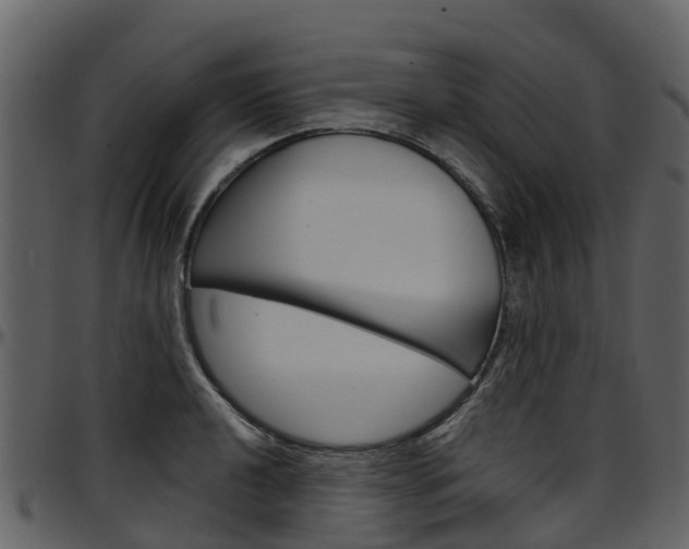 X0000097651040200802290841