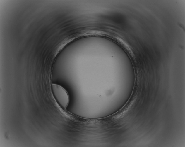 X0000097651041200802290841