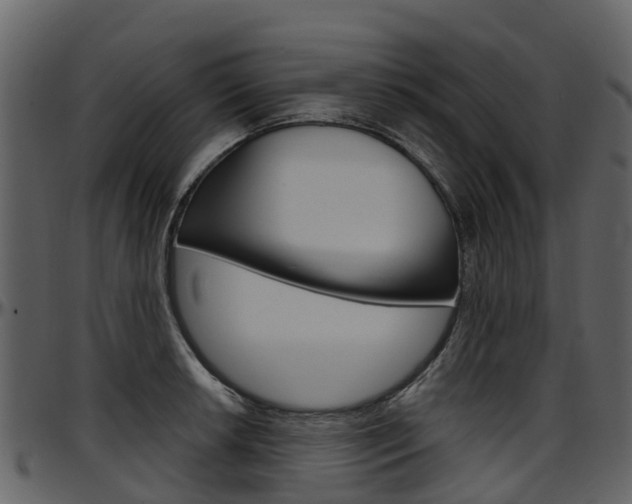 X0000097651042200802290841