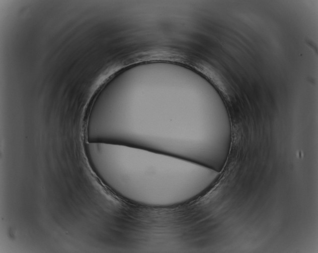 X0000097651043200802290841