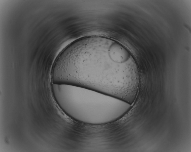X0000097651044200802290841