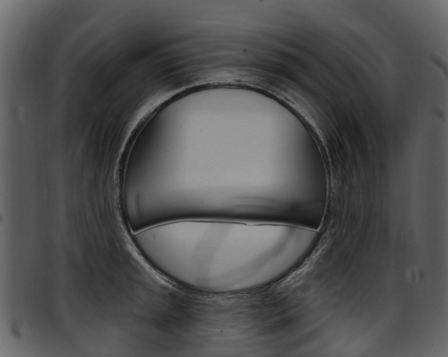 X0000097651045200802290841