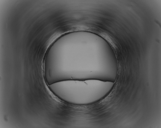 X0000097651047200802290841