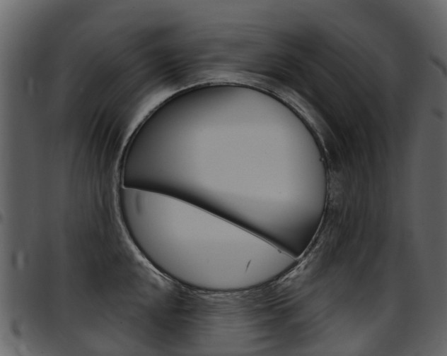 X0000097651048200802290841