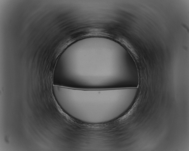 X0000097651049200802290841