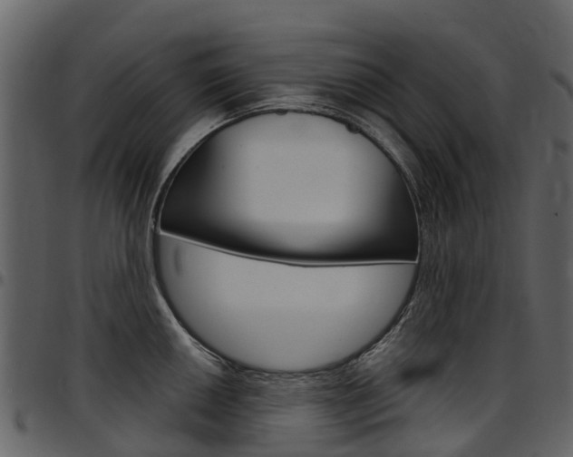 X0000097651050200802290841