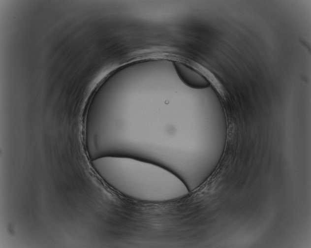 X0000097651051200802290841