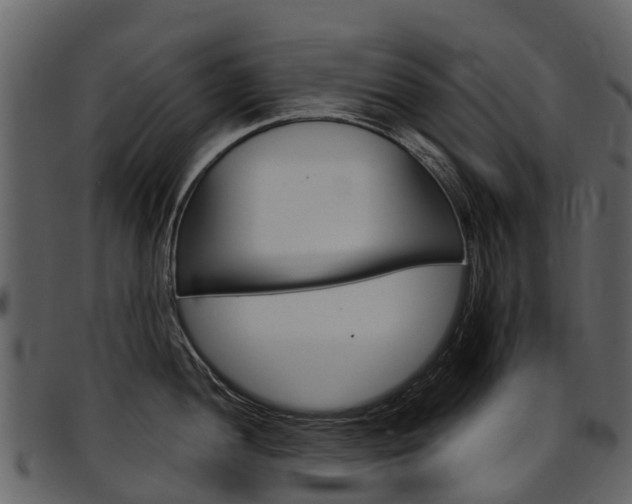 X0000097651052200802290842