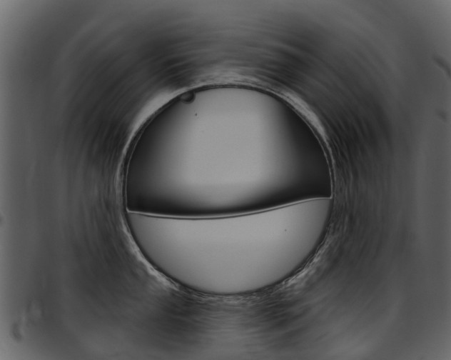 X0000097651053200802290842
