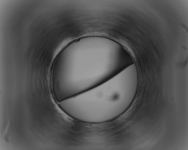 X0000097651054200802290842