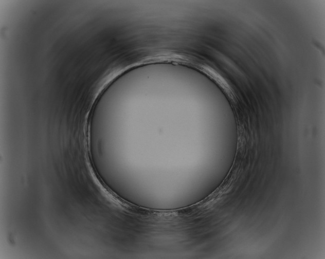 X0000097651055200802290842