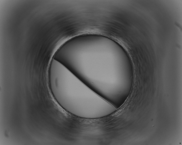 X0000097651056200802290842