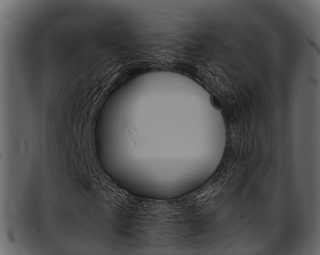 X0000097651057200802290841