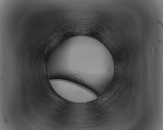 X0000097651058200802290841