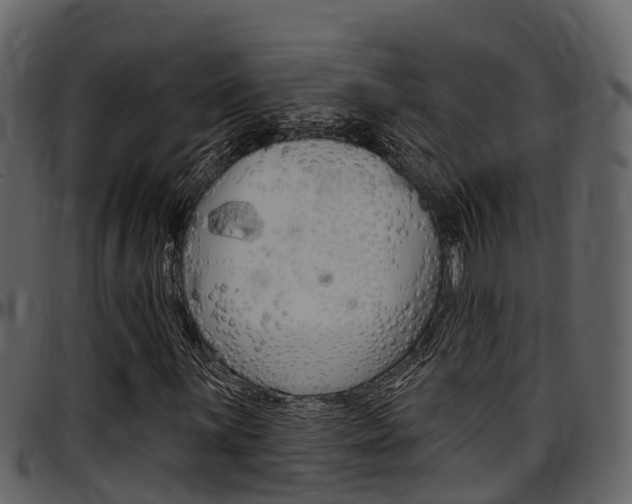 X0000097651059200802290841